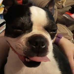 Meet your Posher, Justice